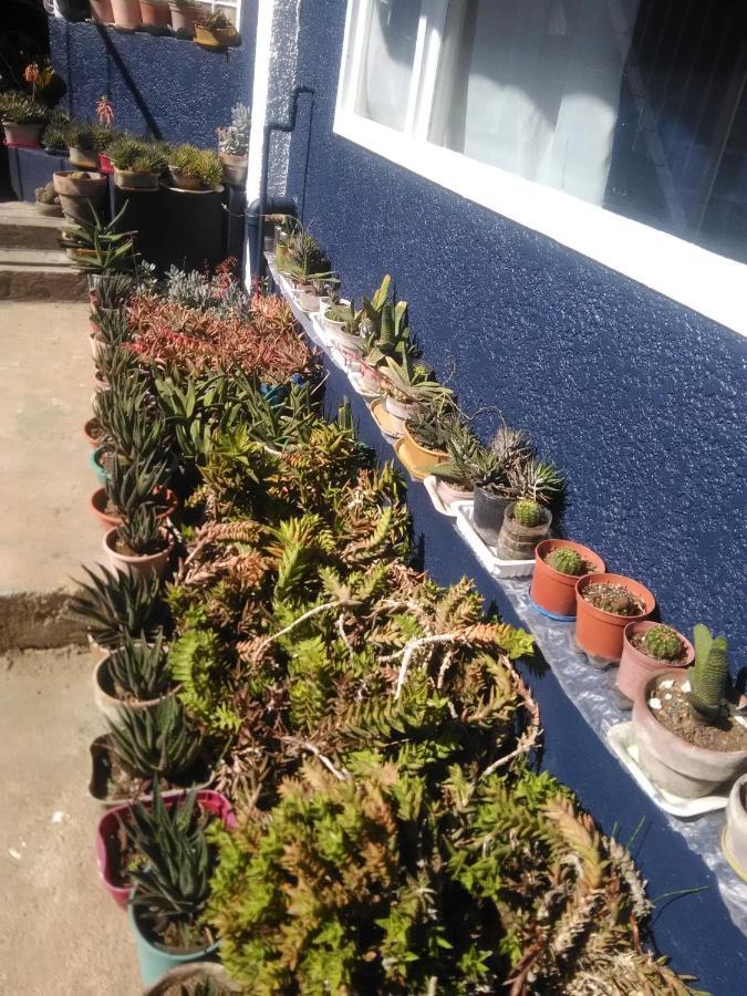 Havilah House Baguio City Kültér fotó