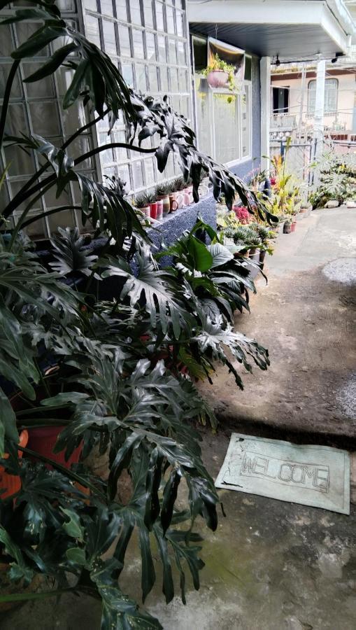 Havilah House Baguio City Kültér fotó