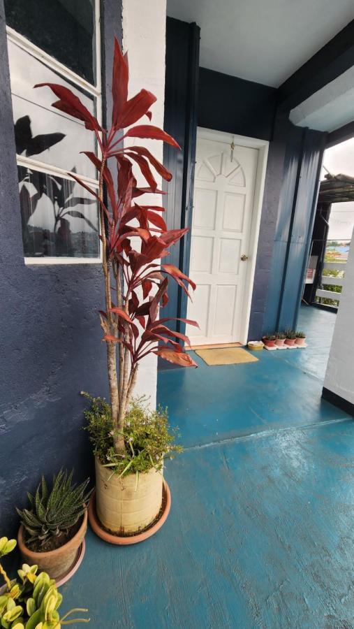 Havilah House Baguio City Kültér fotó