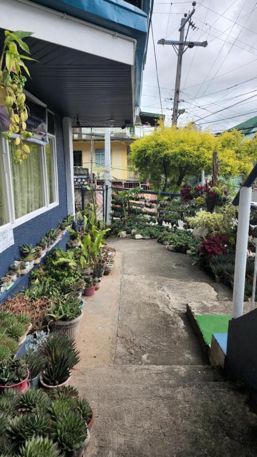 Havilah House Baguio City Kültér fotó