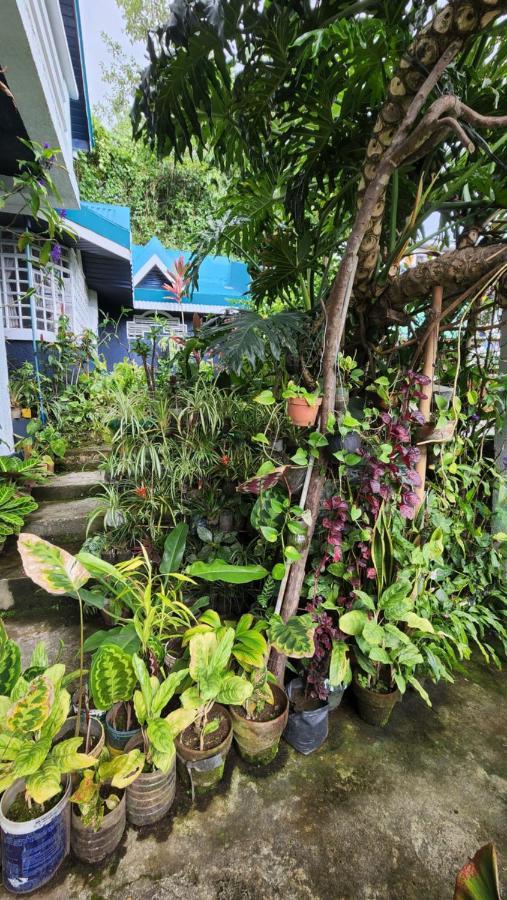 Havilah House Baguio City Kültér fotó